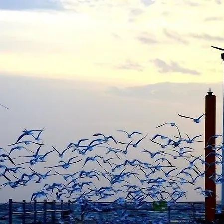 Marmada * Marmara Adasi